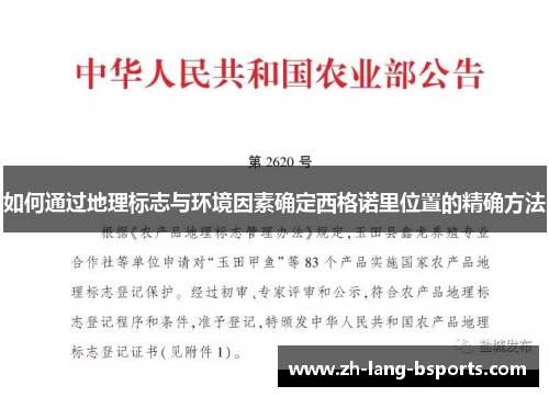 如何通过地理标志与环境因素确定西格诺里位置的精确方法