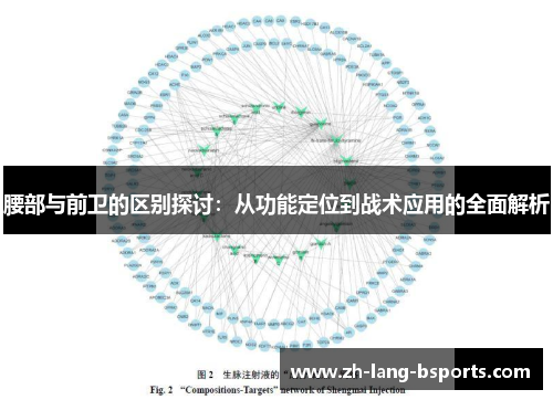 腰部与前卫的区别探讨：从功能定位到战术应用的全面解析