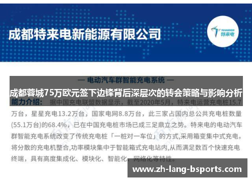 成都蓉城75万欧元签下边锋背后深层次的转会策略与影响分析